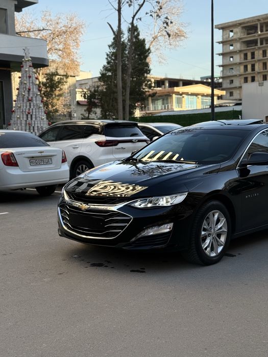 Malibu 2 qora kraska tozza 2022 premer masla