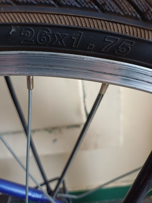 Bicicleta MTB Pegasus