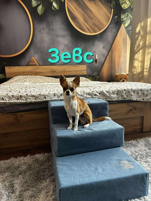 Продавам стълби за домашни любимци