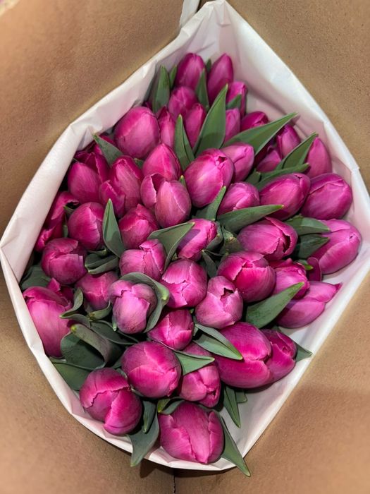 Тюльпаны оптом и в розницу