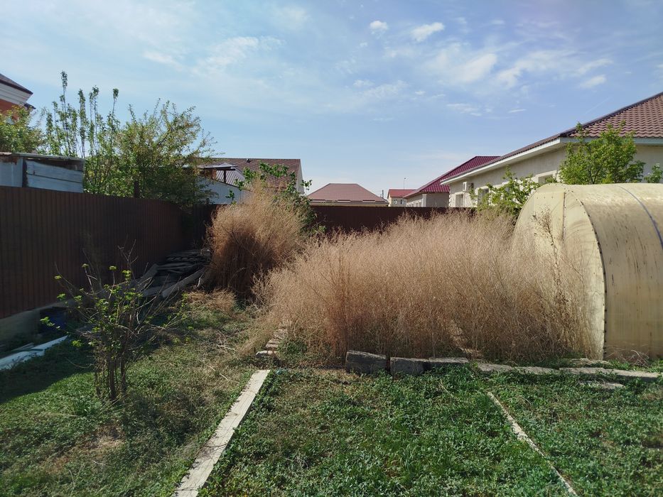 Косим траву.Шоп шабу.