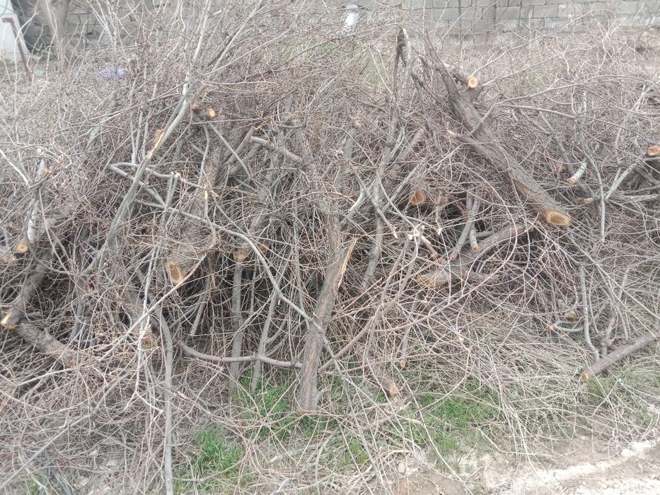 Дрова бесплатно всё