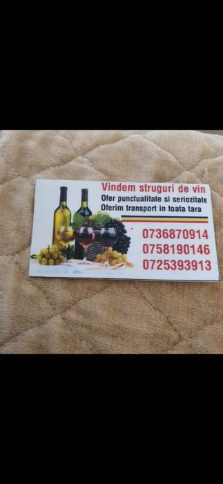 Vând struguri pentru vin