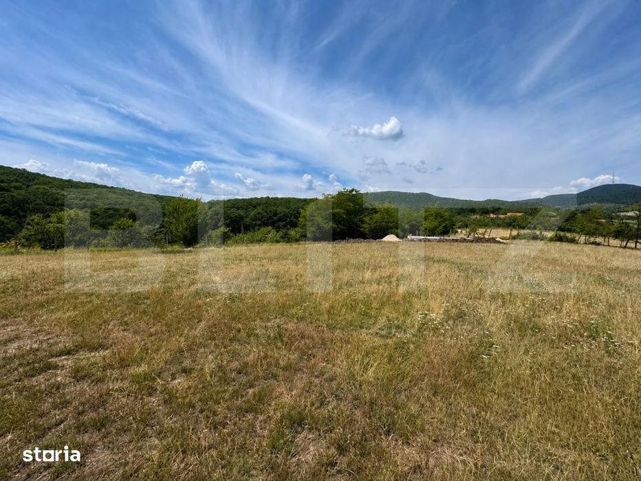 Teren intravilan de vanzare – 480 mp, zona Padurea Bejan