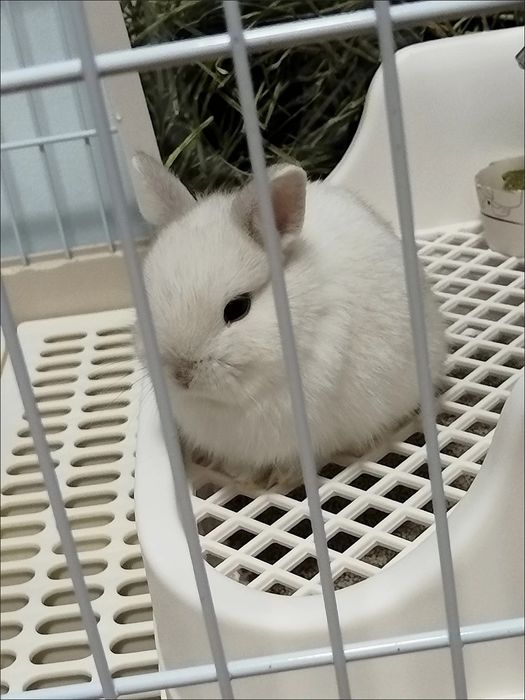 Oddiy sovg‘alardan charchadingizmi?