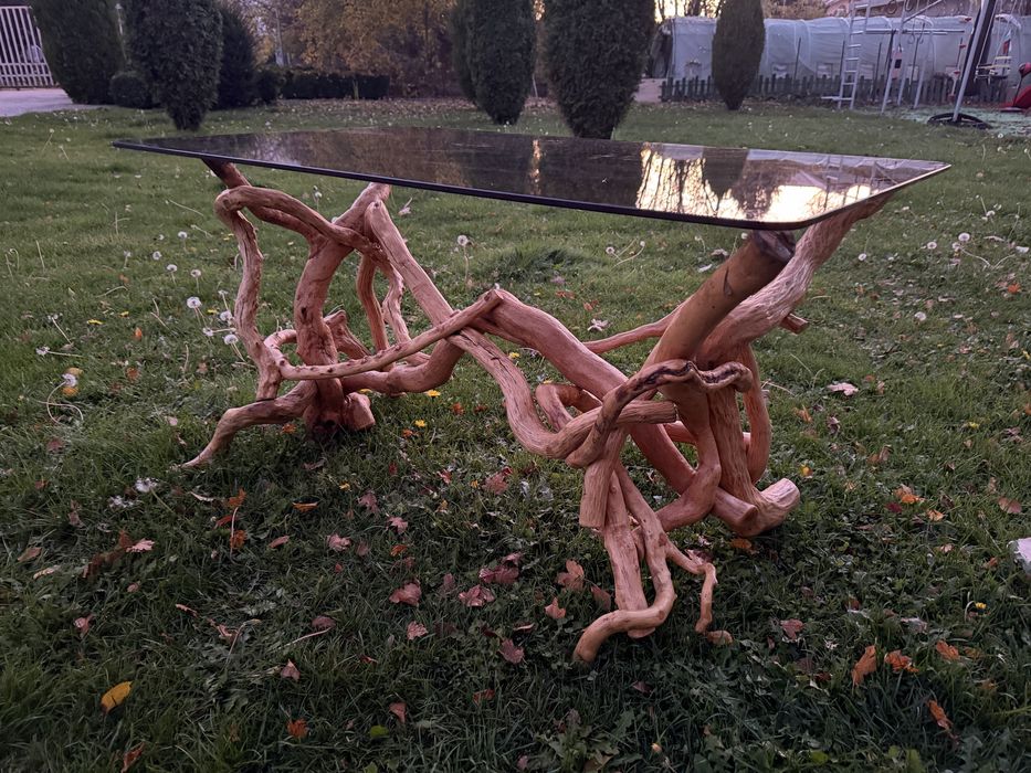 Маса корени на дъб уникат