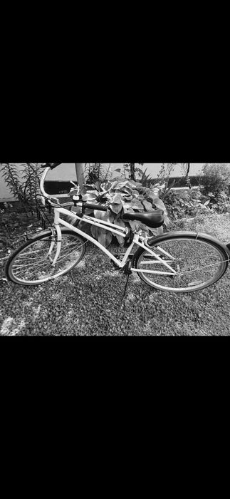 Vand bicicleta Pegas