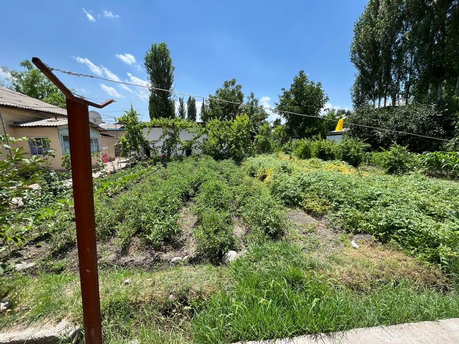 Bostonliq tumani Abayda 13 sotikli hovli sotiladi