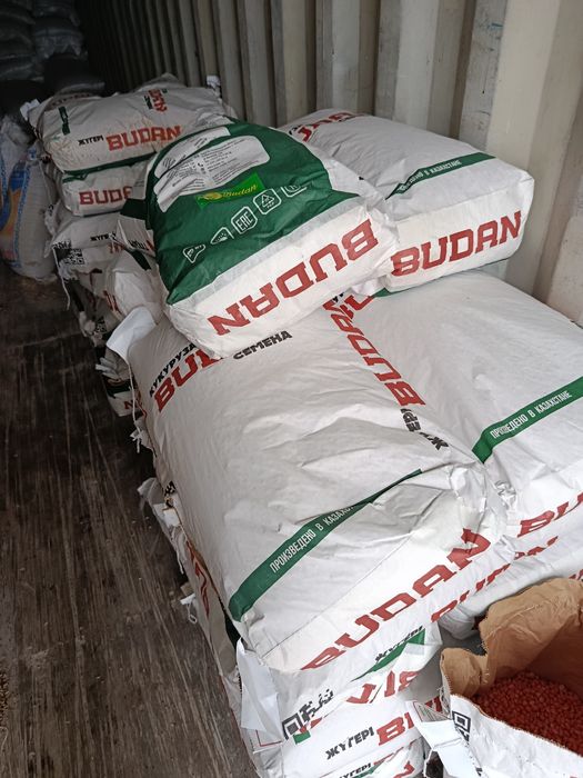 Продаю  семена кукурузы
1) семена кукурузы