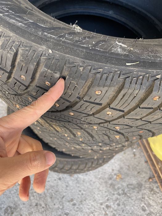 Зимние шины triangle