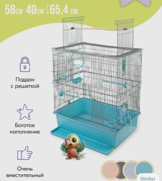 Ожереловый попугай