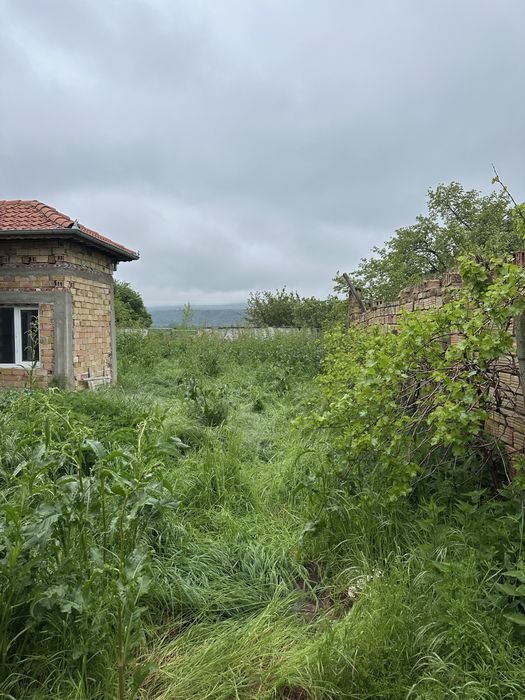 премахване на опасни дървета , косене