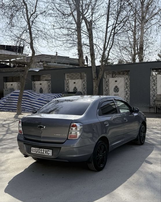 Cobalt Mcm Midnight
