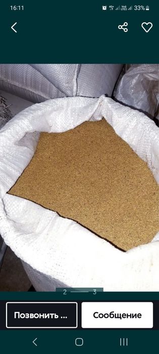 Жоңышқа ұрық Семена 2000