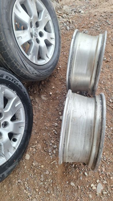 Ромашка титанка R16