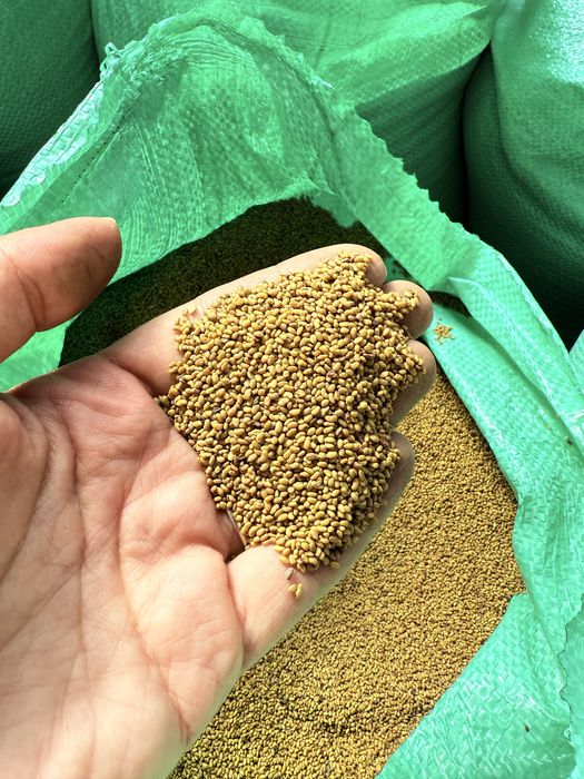 Продавам семе люцерна