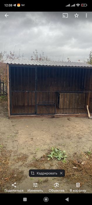 Вольеры для собак