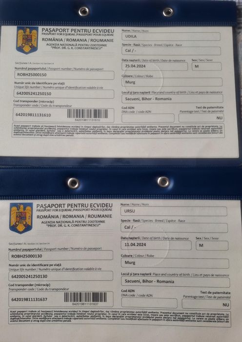 O pereche de  mânji speciali linia Fitero de vanzare