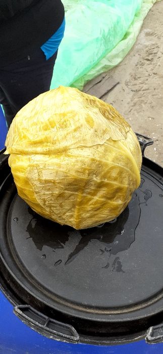 Varza murata de vanzare