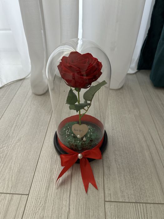 Trandafiri criogenati nemuritori