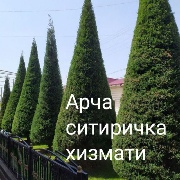 Ландшафтный дизайн