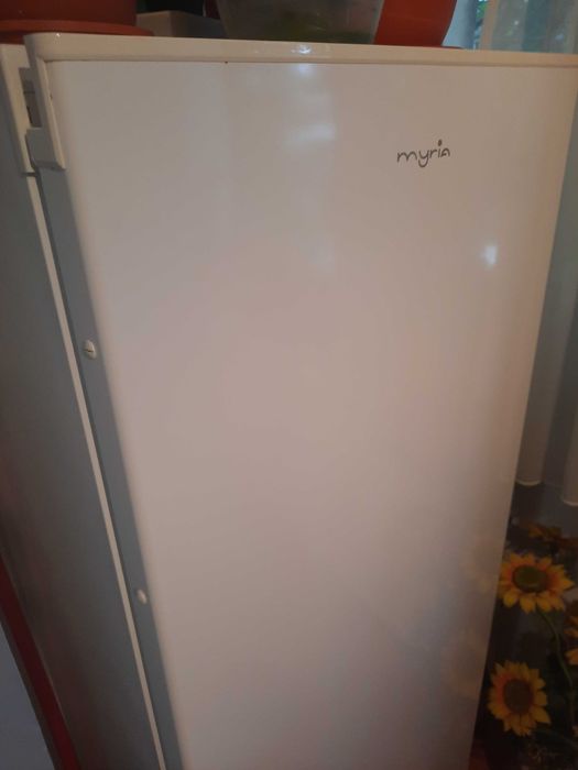 Congelator MYRIA MY1004, 153 l, H 142 cm, Clasa A+, alb