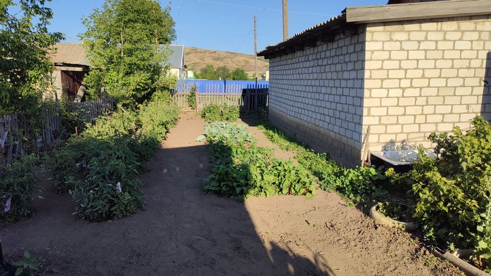 Продам дом в с. Березовка