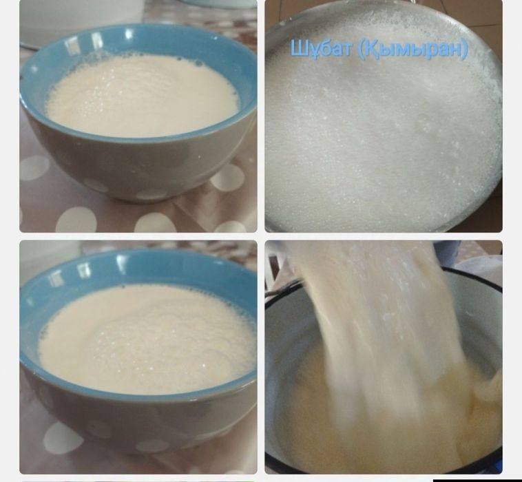 Свежий кымызшубат. Кумыс. Қымыз. Шұбат. Курт, Құрт,