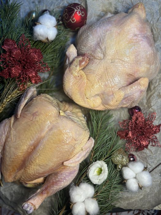 Фермерская курица