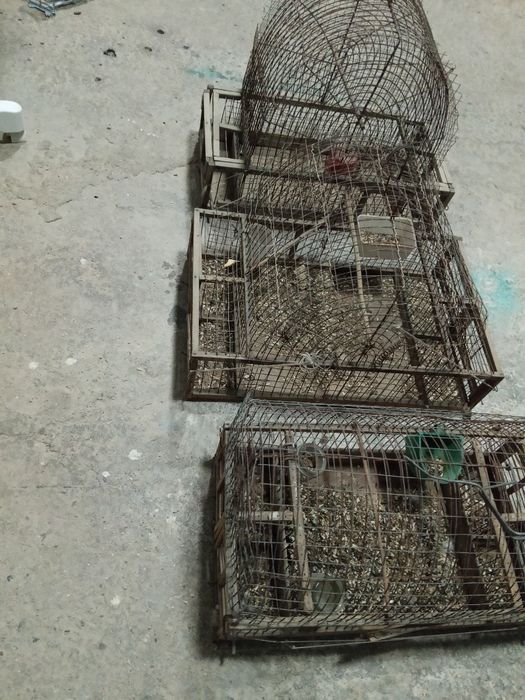Садок для птиц канареек