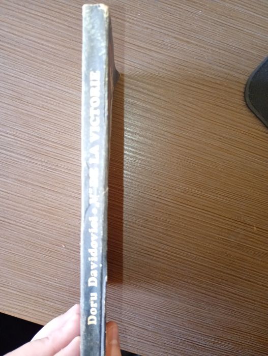 V de la Victorie de Doru Davinovici