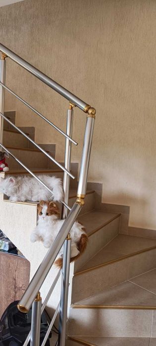 Дава се под наем Къща в Павел баня - 200 кв.м за 1530 € - Снимка #5