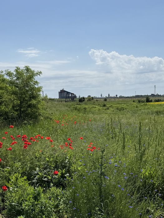 Teren intravilan Periș ilfov 5000mp2