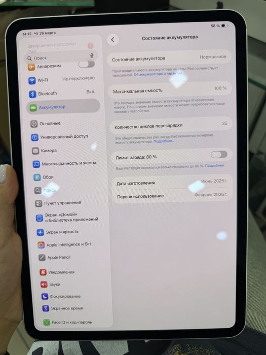 Айпад Про 11 М4 256gb 100%