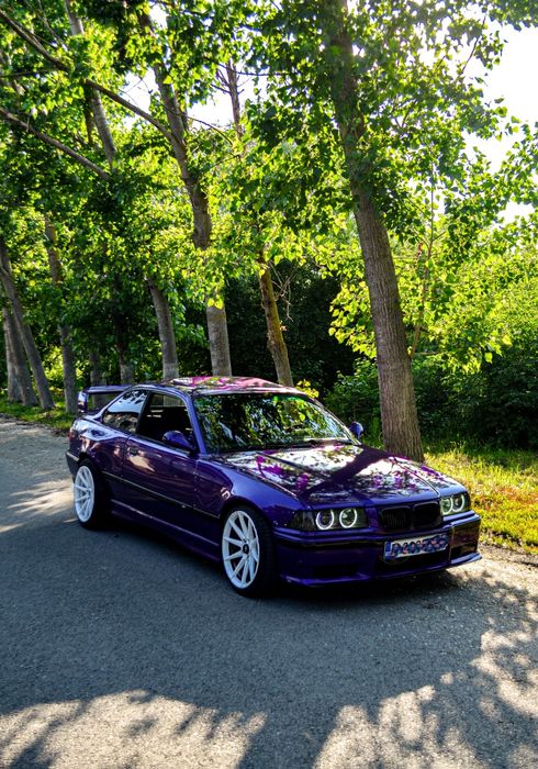 Bmw e36 coupe pisica