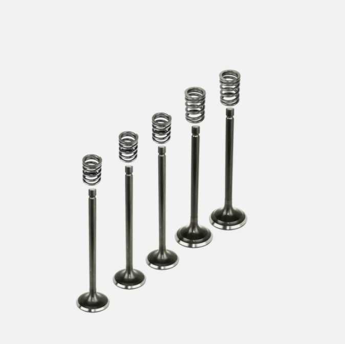 Клапани за 2001-05 Ямаха Раптор 660 комплект с гарнитури  Raptor 660