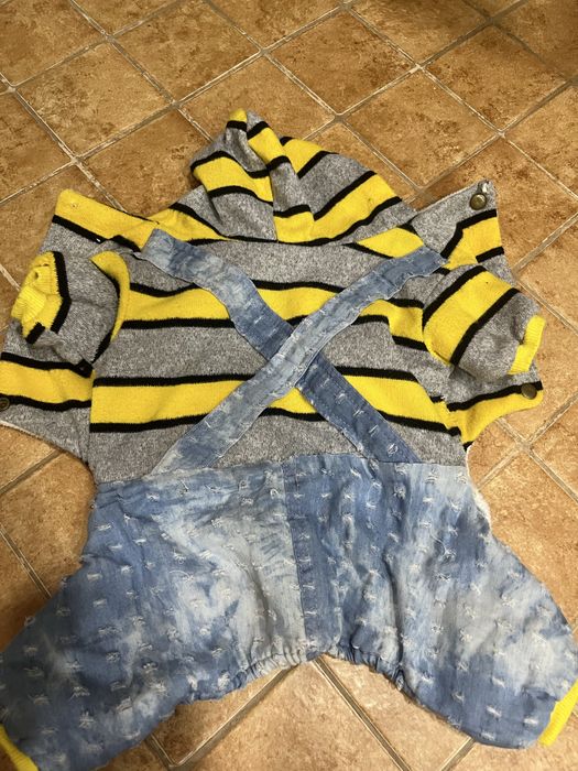 Одежда для собак