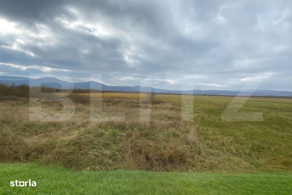 Teren de vanzare – 1,5 hectare, la drumul european, utilitati la fro