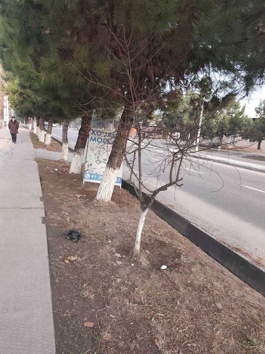 Срочно Эркин порста 1 линия уй, бизнеслари бн Корзинка ёнида