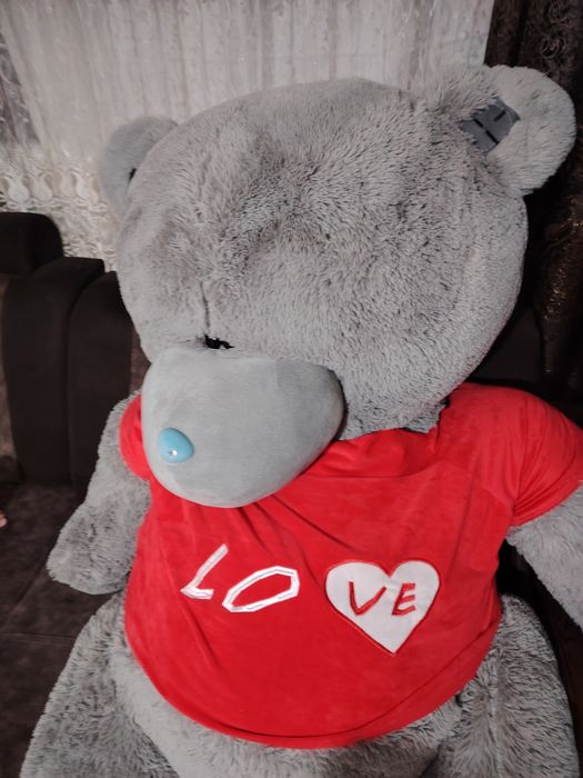 Juda katta ayiq sifatiga garantiya