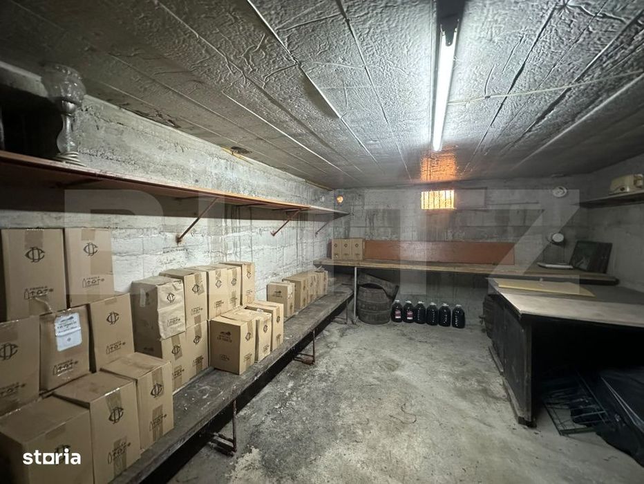Proprietate S+P+E, 350 mp teren, spatii comerciale si potential pensiu