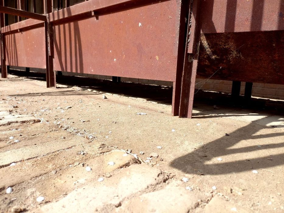 Охурлар бор мол ва қўйга