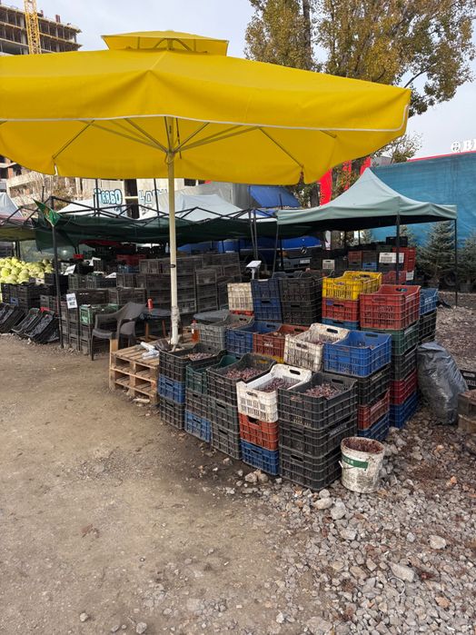 ПРОМОЦИЯ 1.лв Гроде за вино и ракия от Любимец в София