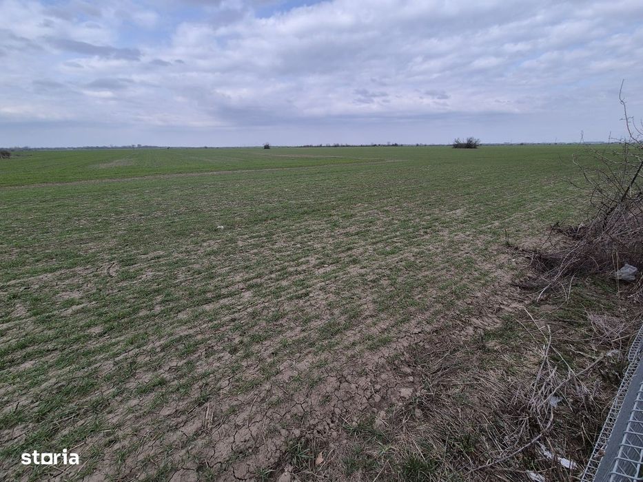 Vanzare teren intravilan 13.852mp, zona depozite Domnesti