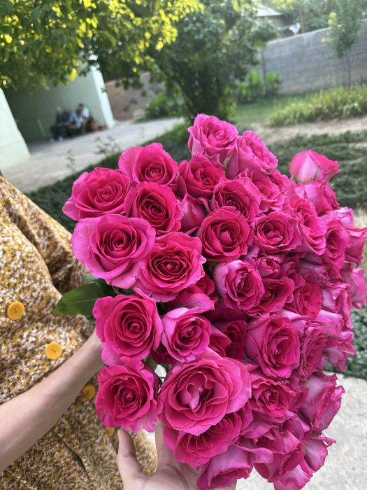 65 роза свежий букет