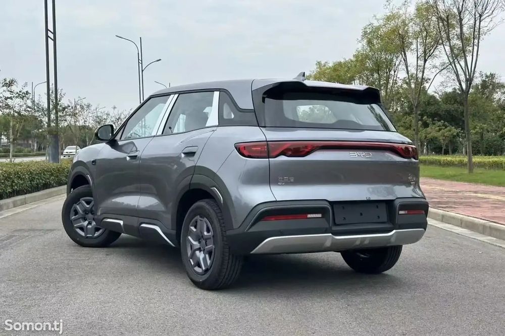 BYD YUAN UP Smart driving Vitality Edition re-export в Таджикистан