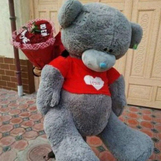 Arzon teddy aksiya