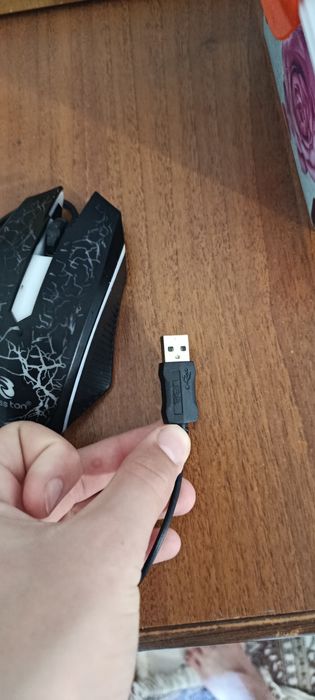 мышь boston m 5.