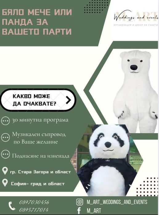 Мече/Панда за изненада