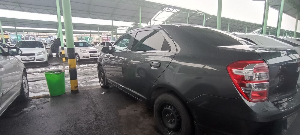 Cobolt 2022 4-pozitsiya STAYl